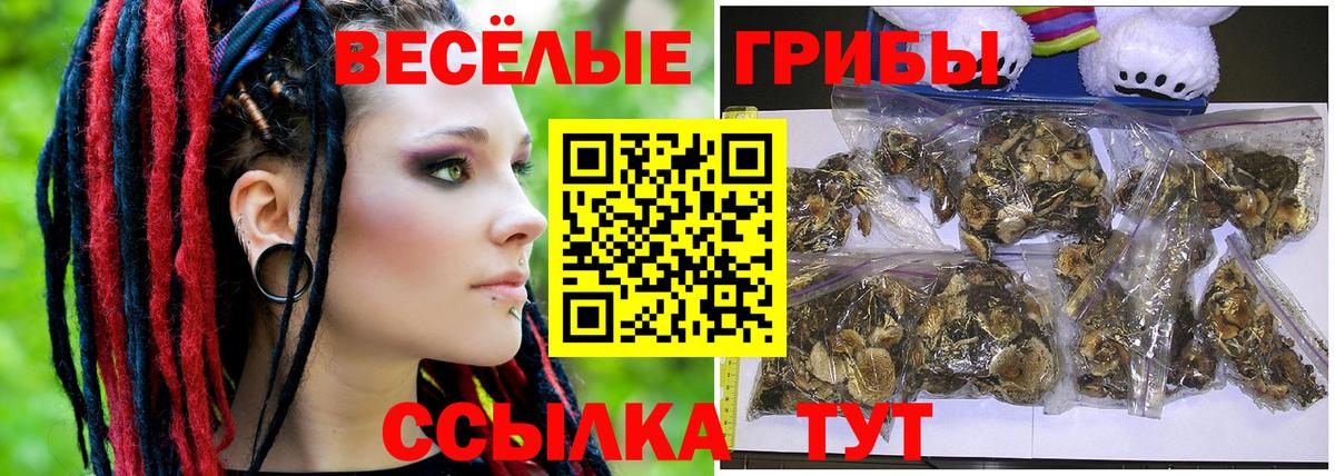 Галлюциногенные грибы GOLDEN TEACHER Россошь