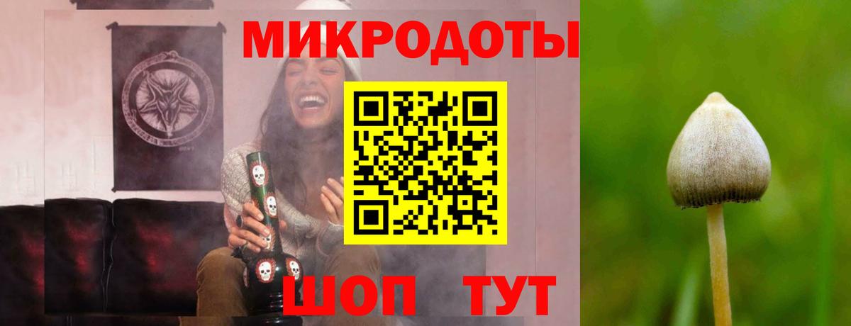 Россошь  Галлюциногенные грибы прущие грибы  Псилоцибиновые грибы прущие грибы  Вход с VPN 